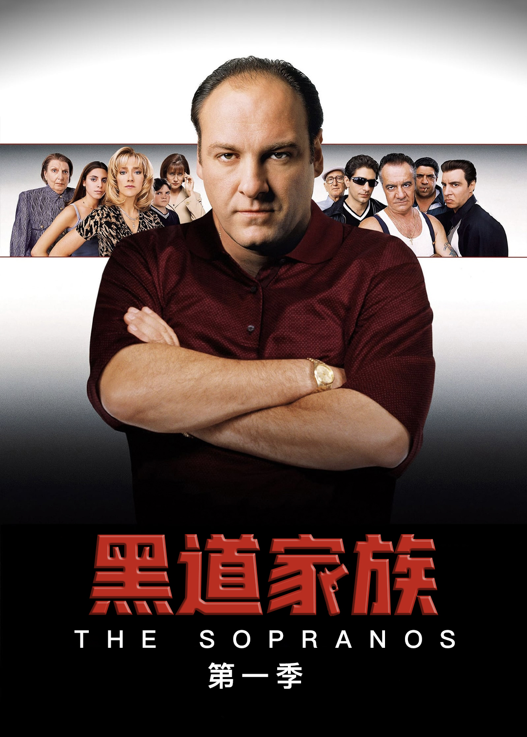 黑道家族封面图