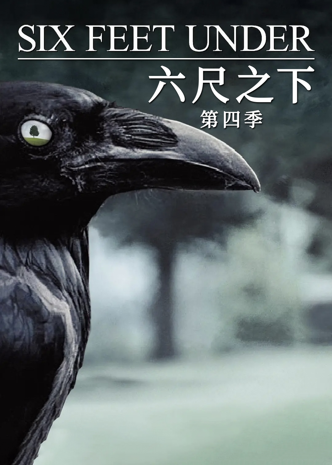 六尺之下 第四季封面图