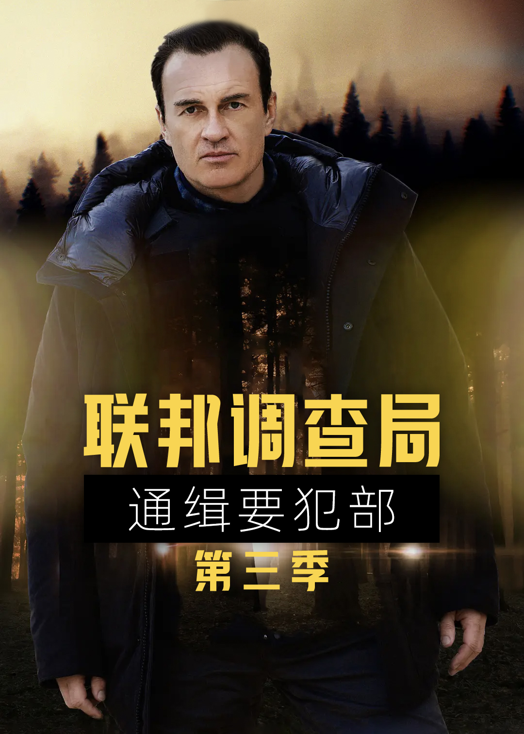 联邦调查局:通缉要犯 第三季封面图