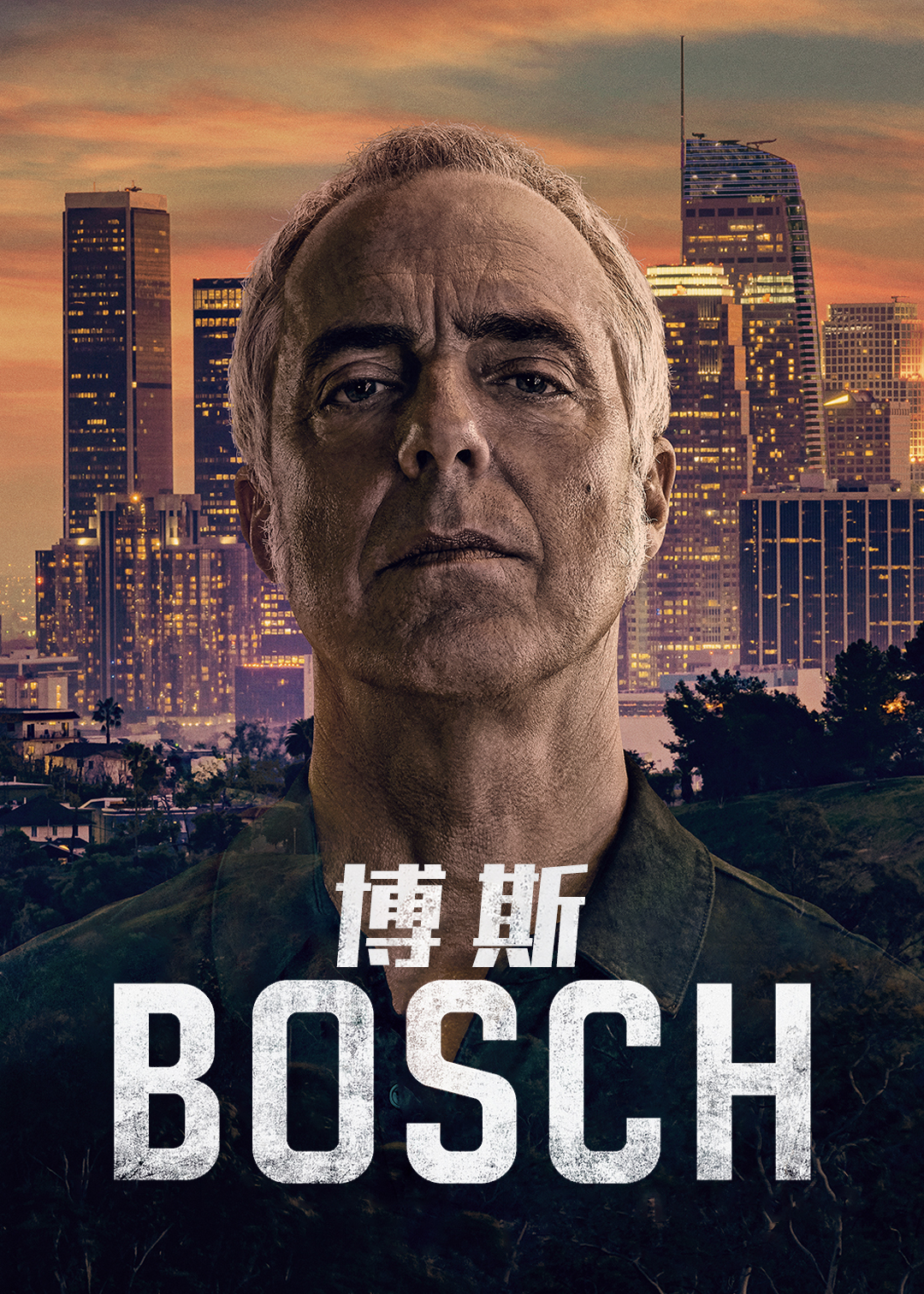 博斯 第七季封面图