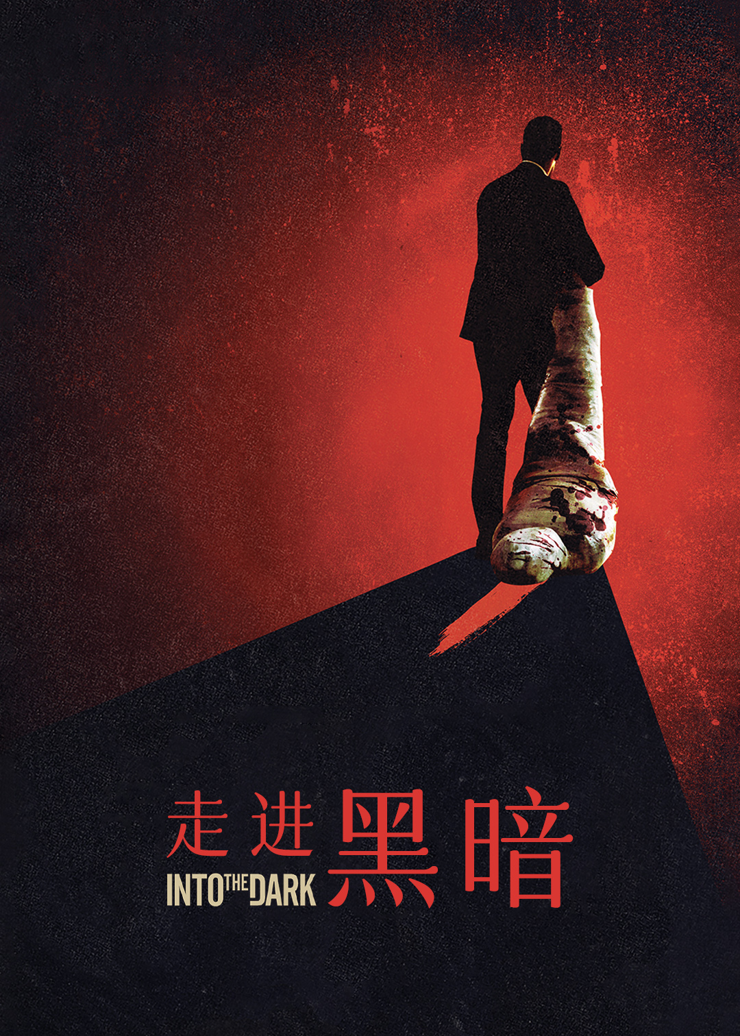 走进黑暗封面图