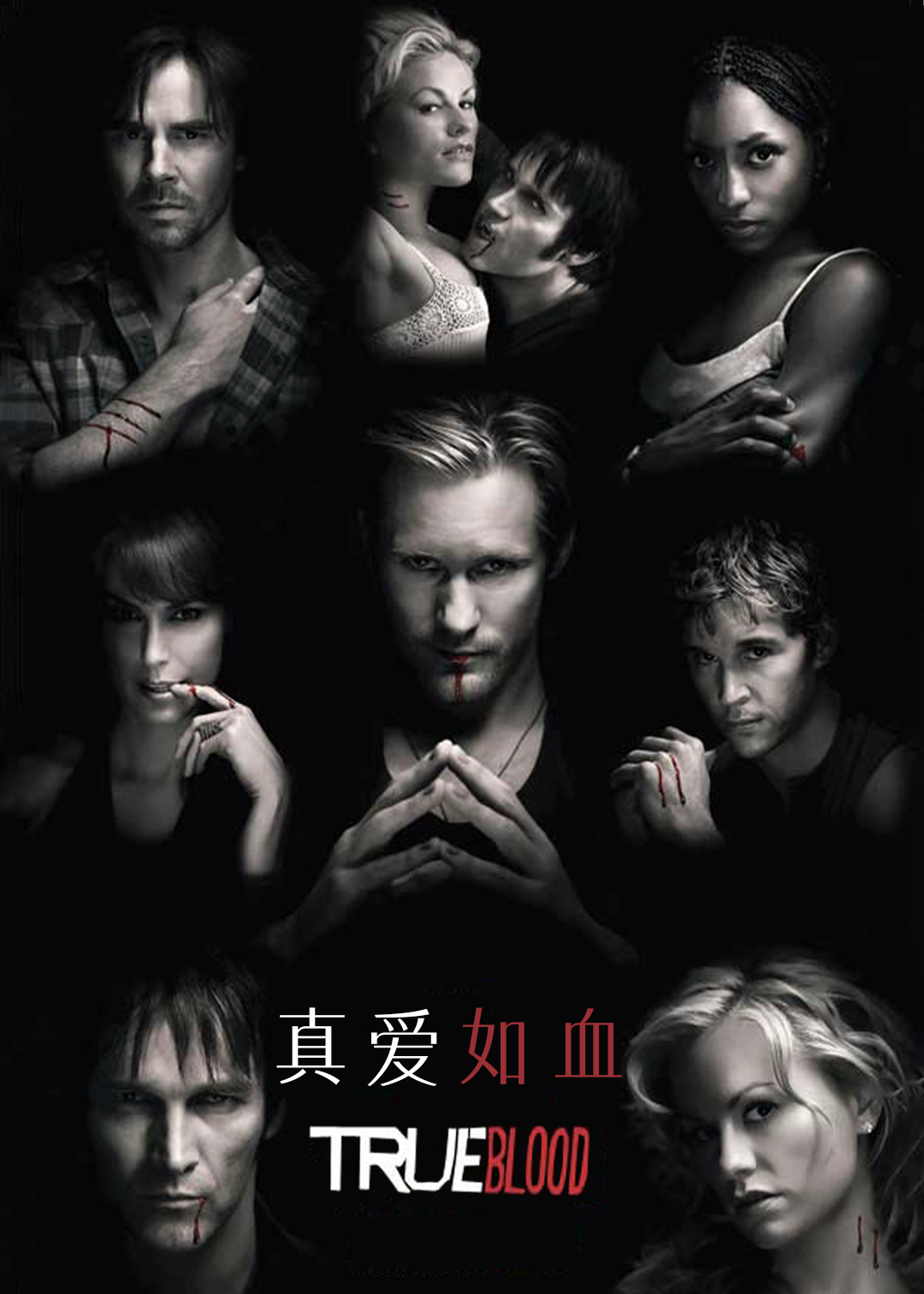 真爱如血 第二季封面图