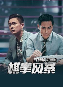 棋拳风暴（粤语）封面图