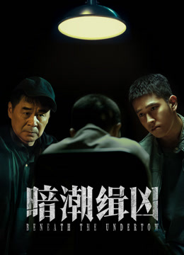 暗潮缉凶封面图