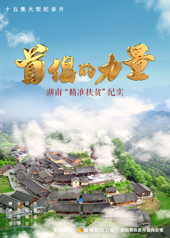 首倡的力量封面图