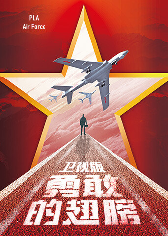 勇敢的翅膀卫视版封面图