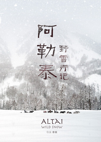 阿勒泰野雪行记封面图