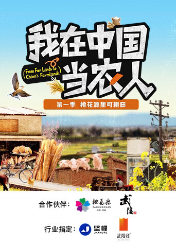 我在中国当农人封面图