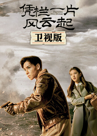 凭栏一片风云起 卫视版封面图