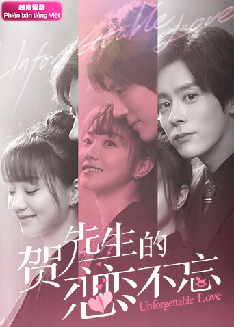 贺先生的恋恋不忘  越南版语版封面图