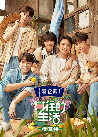 向往的生活5 慢直播封面图