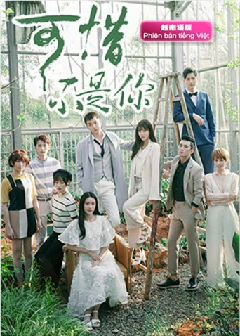 可惜不是你  越南版语版封面图