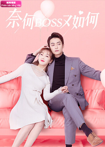 奈何BOSS又如何  越南版语版封面图