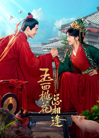 玉面桃花总相逢 卫视版封面图