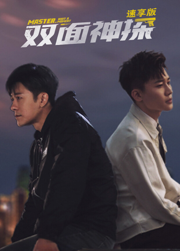 双面神探 速享版封面图