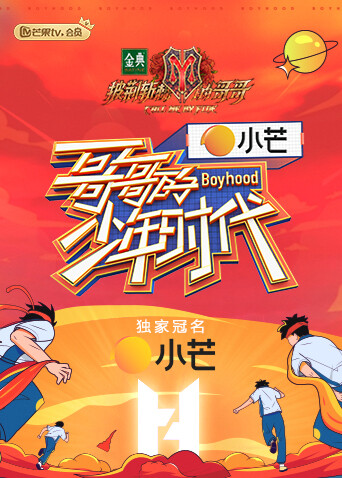 哥哥的少年时代封面图