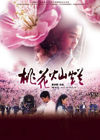 桃花灿烂封面图