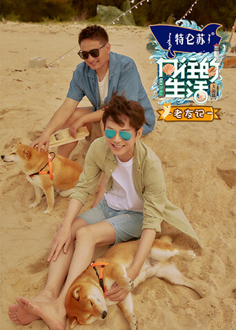 向往的生活6老友记封面图