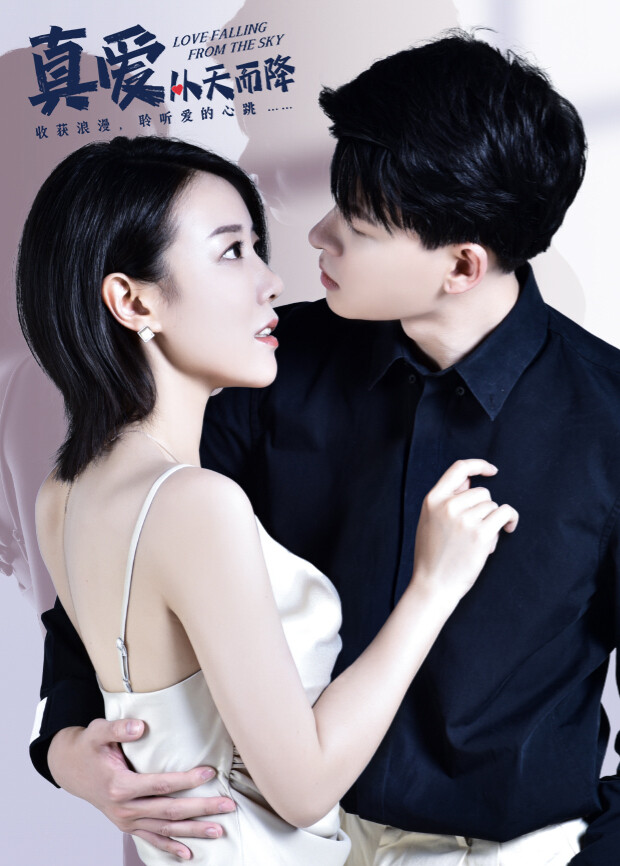 真爱从天而降封面图