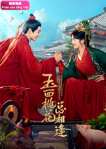 玉面桃花总相逢 越南版语版封面图