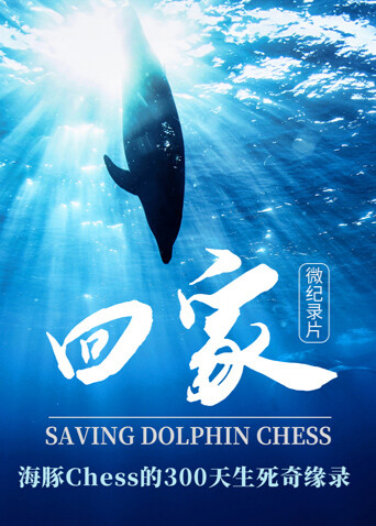 回家  2024封面图