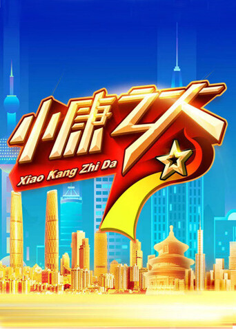 小康之大封面图