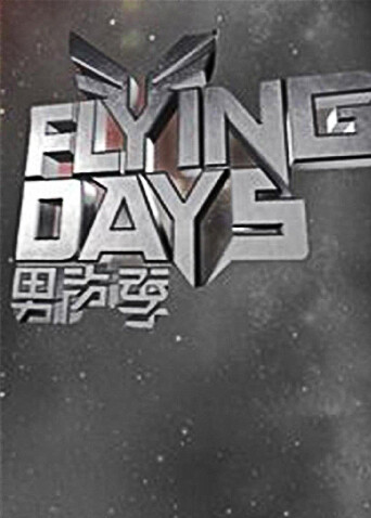 Flying Days 2010封面图