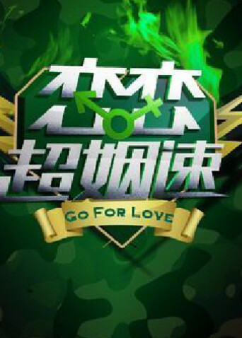 恋恋超姻速2011封面图