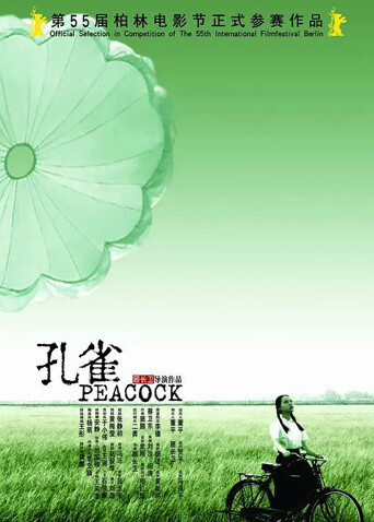 孔雀封面图