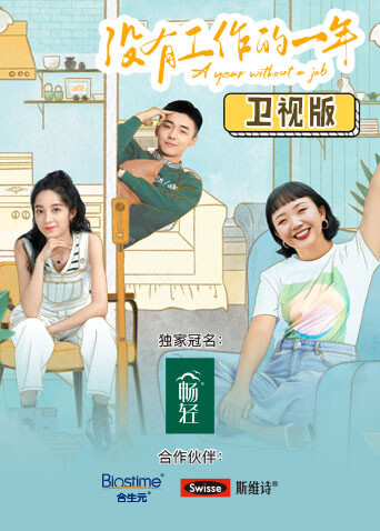 没有工作的一年 卫视版封面图