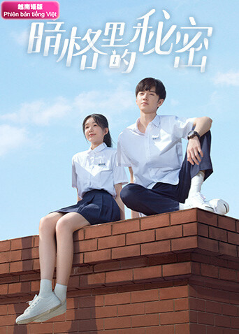 暗格里的秘密  越南版语版封面图