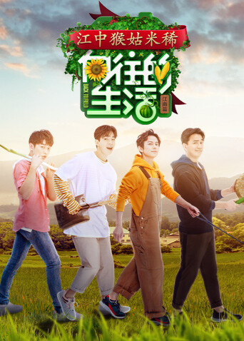 向往的生活第二季封面图