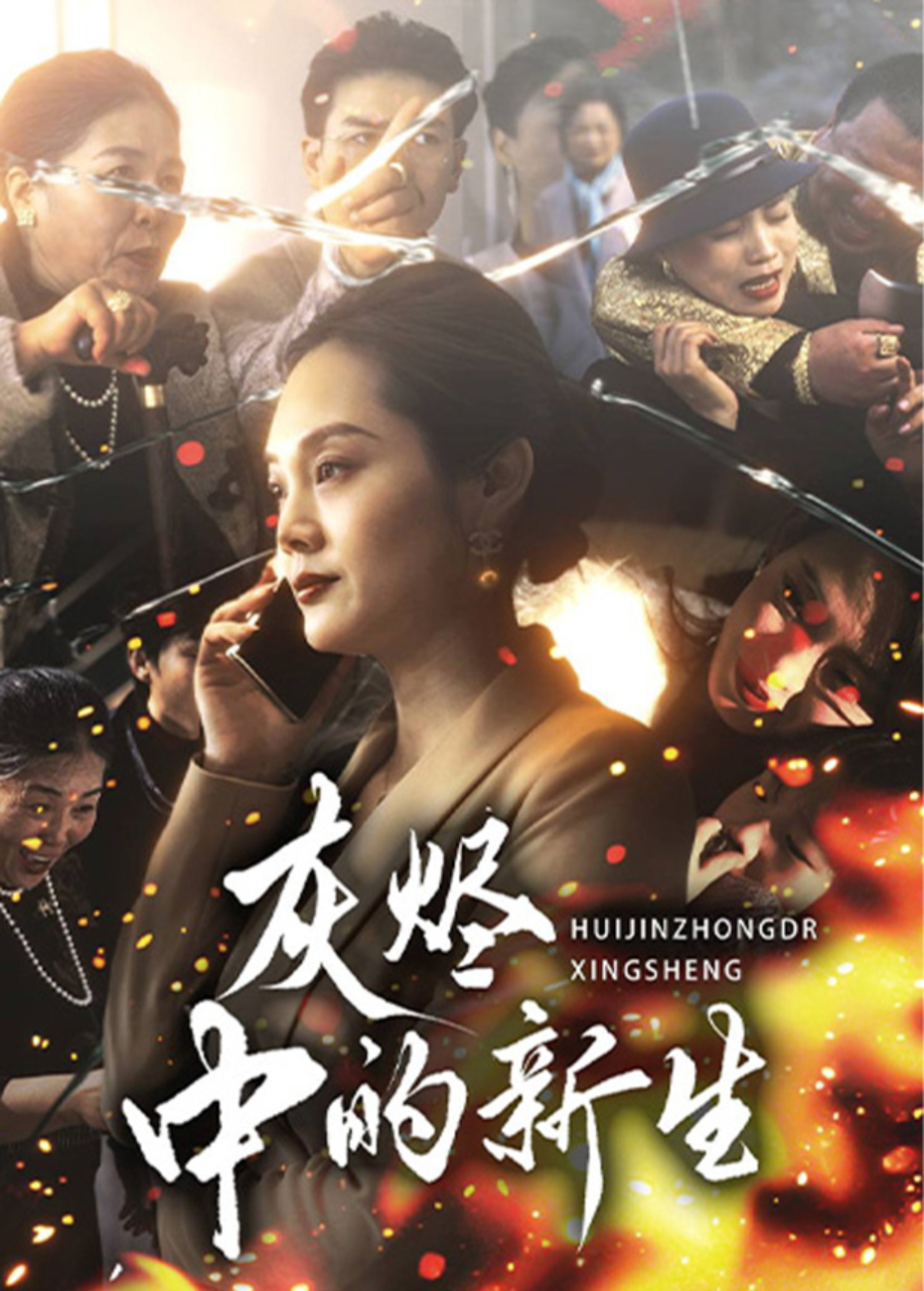 灰烬中的新生封面图