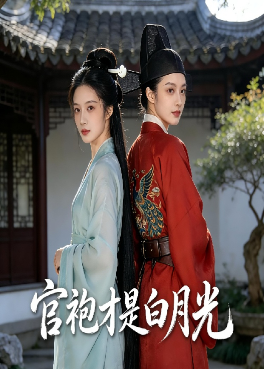 官袍才是白月光封面图