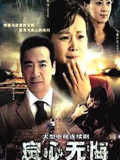 良心无悔封面图