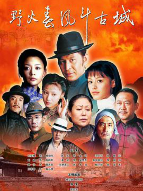 野火春风斗古城封面图