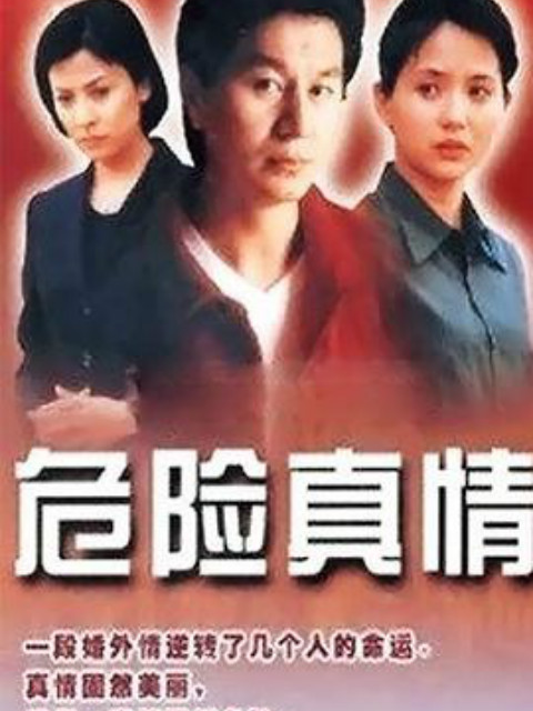 危险真情封面图