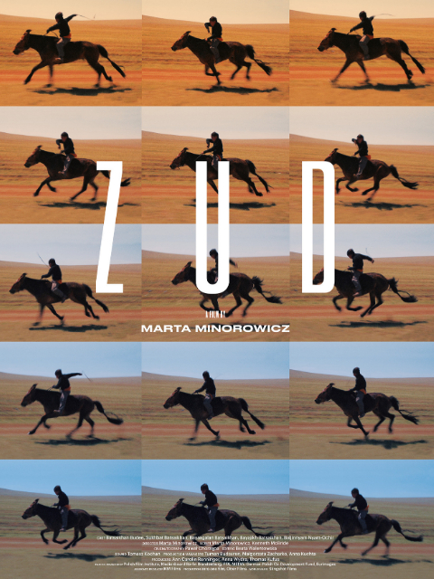 草原上的男孩封面图