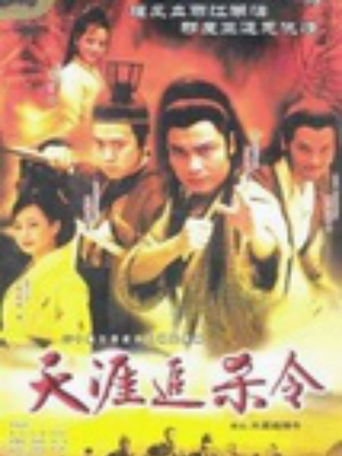 天涯追杀令封面图