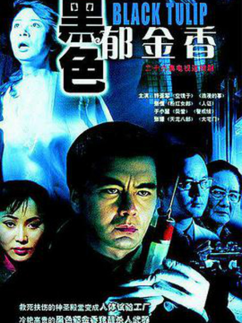 黑色郁金香封面图