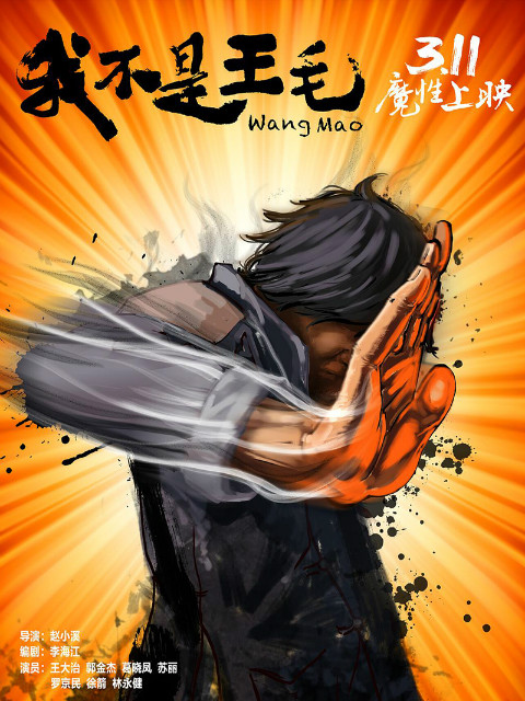 我不是王毛封面图