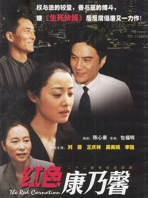 红色康乃馨封面图