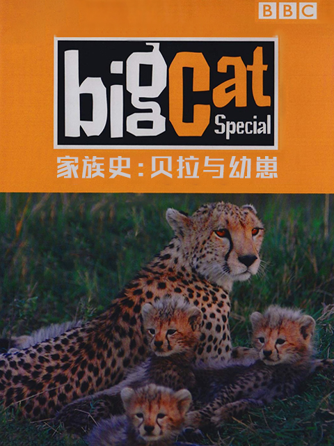 大猫日记 家族史：贝拉与幼崽封面图