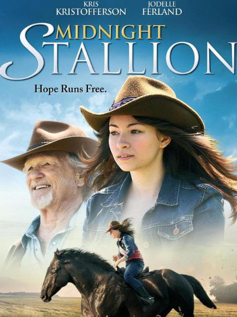 夜晚属于我封面图