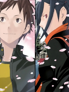 夜樱四重奏 星之海封面图