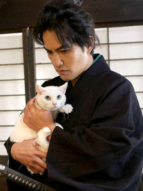 猫侍  第二季封面图