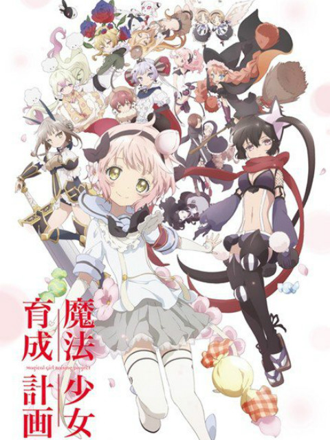 魔法少女育成计划封面图