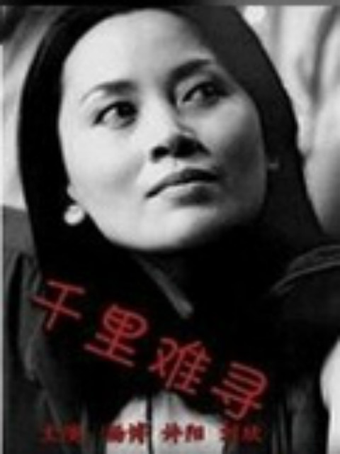 千里难寻封面图