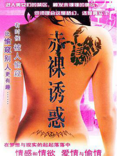 南北有情天封面图