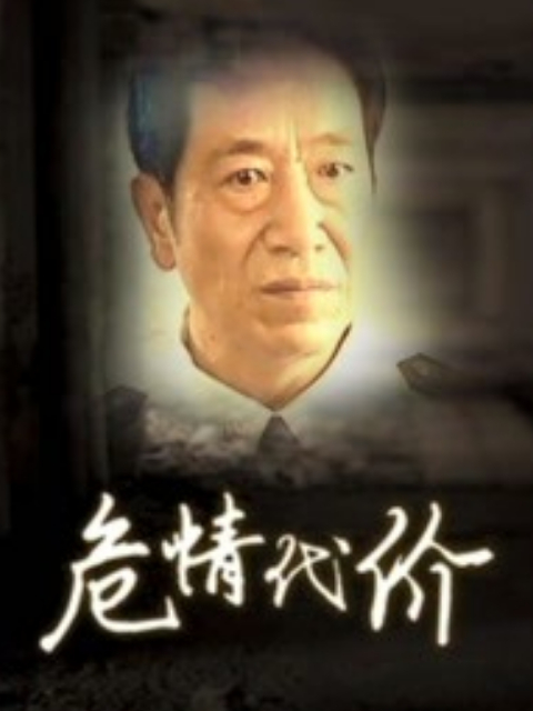 危情代价封面图